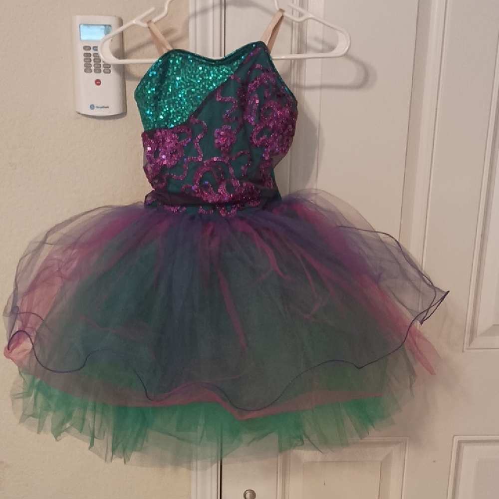 Curtain Call Creations Girls Costume Size CME (Medium/7-8yr) Purple/Green Whimsy